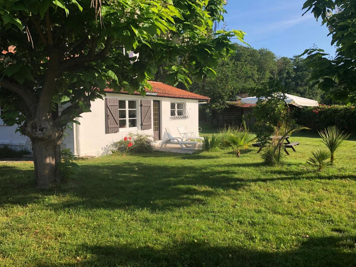 Villa Orcas Léon Εξωτερικό φωτογραφία
