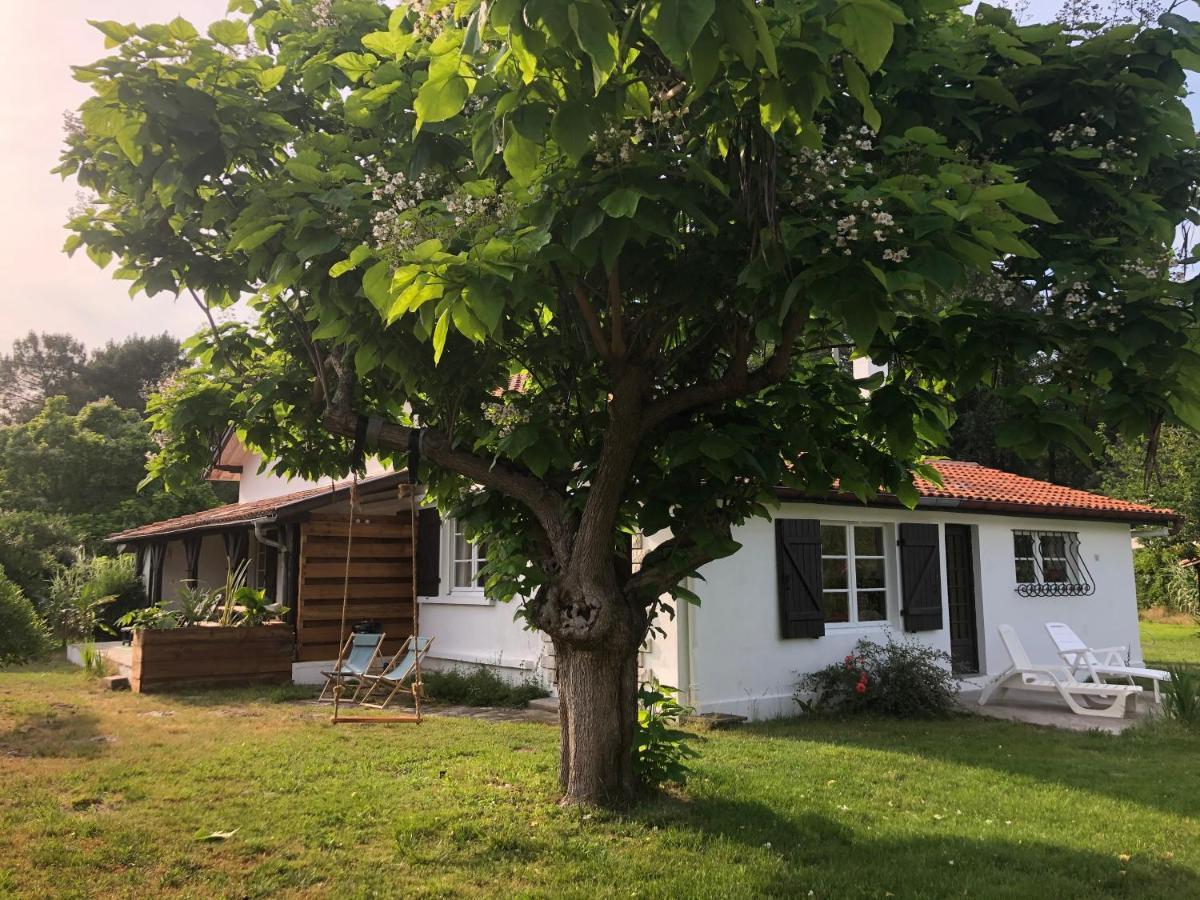Villa Orcas Léon Εξωτερικό φωτογραφία
