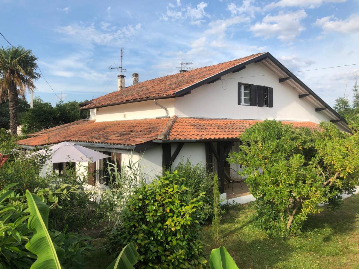Villa Orcas Léon Εξωτερικό φωτογραφία